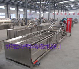 大洋牌氣泡式果蔬清洗機(jī) 專為桑葚設(shè)計(jì)的機(jī)械設(shè)備研發(fā)創(chuàng)新