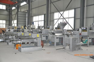 如何選擇優質榨油機？重慶市場、知名品牌及上海二龍設備全解析